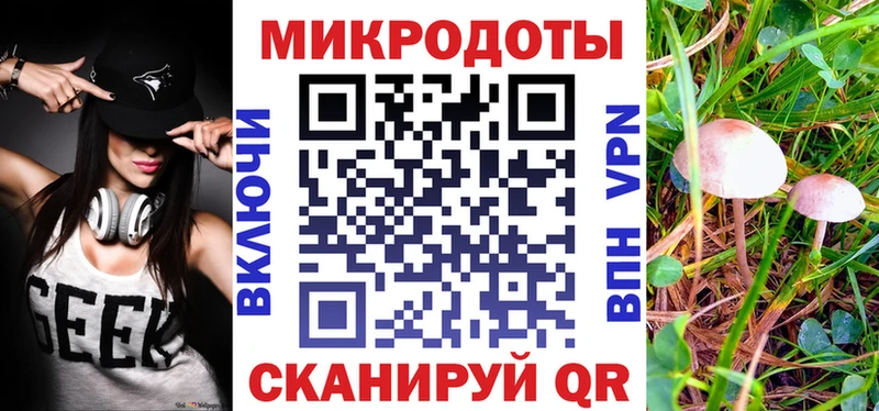 Галлюциногенные грибы MAGIC MUSHROOMS как найти наркотики Ильский